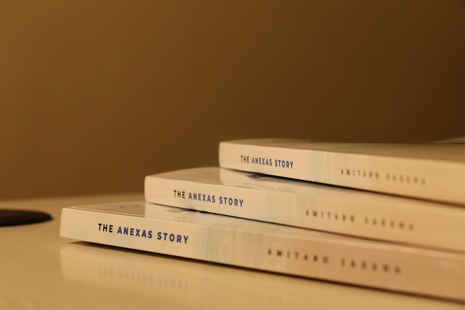 Best Entrepreneur Book In Bangalore 2019 The Anexas Story